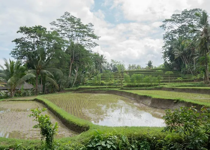 The Sebali 5*