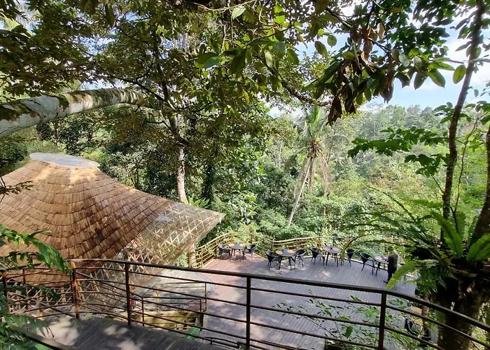 The Sebali