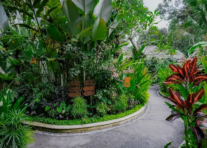 Курортный комплекс The Sebali 5*